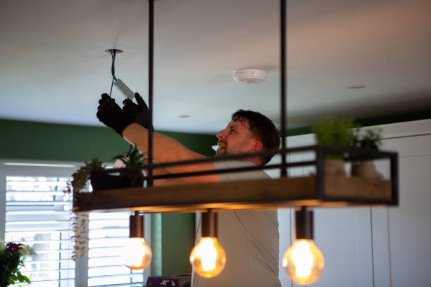 Best Electric Panel Repair  in Ada, MN